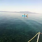 Assos Sardunya Sazlı