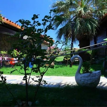 Assos Sardunya Sazlı