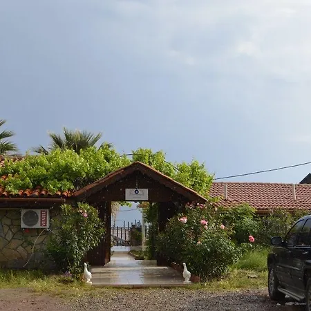 Assos Sardunya 3* Sazlı