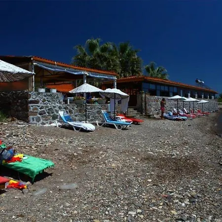Assos Sardunya 3* Sazlı