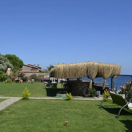 Assos Sardunya