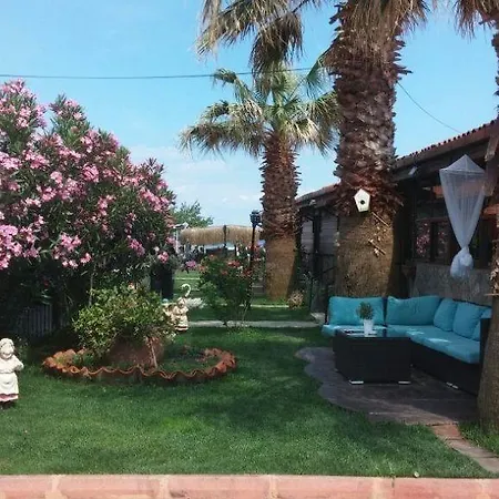 Assos Sardunya 3*
