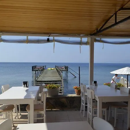 Assos Sardunya 3* Sazlı