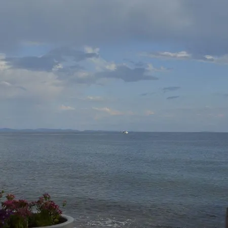 Assos Sardunya 3*