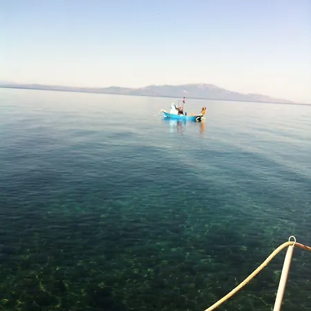 Assos Sardunya Sazlı