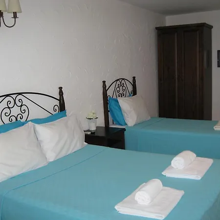 Assos Sardunya Sazli