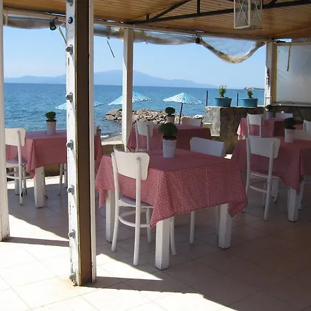Assos Sardunya Sazlı
