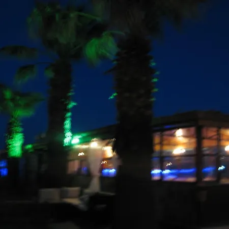 Assos Sardunya Sazlı