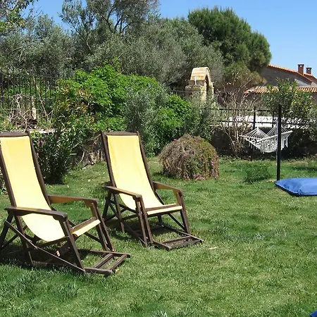 Assos Sardunya Sazli