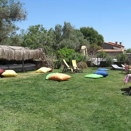 Assos Sardunya 3* Sazlı