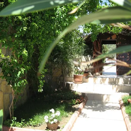 Assos Sardunya 3* Sazlı