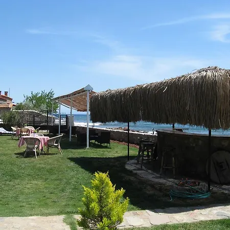 Assos Sardunya Sazli