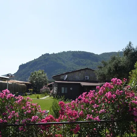 Hotel Assos Sardunya Sazli