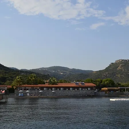 Assos Sardunya 3*