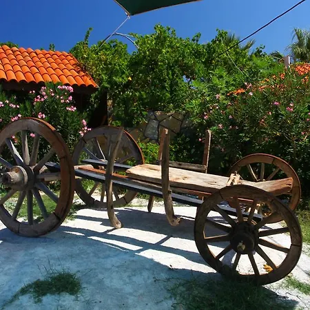 Hotel Assos Sardunya