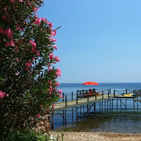 Szálloda Assos Sardunya