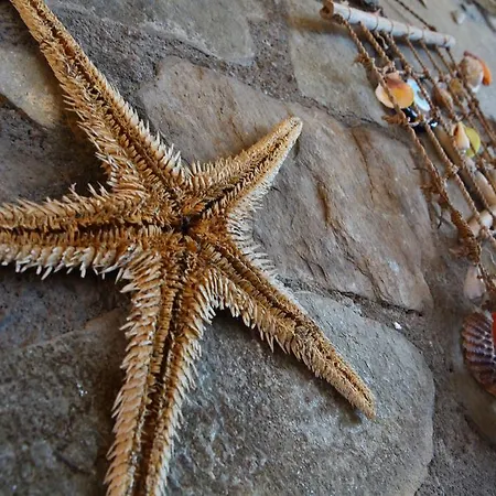 Hotel Assos Sardunya 3*