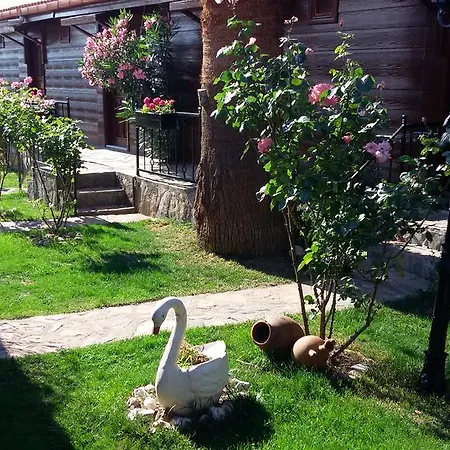 Szálloda Assos Sardunya 3*