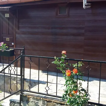 Assos Sardunya Sazlı