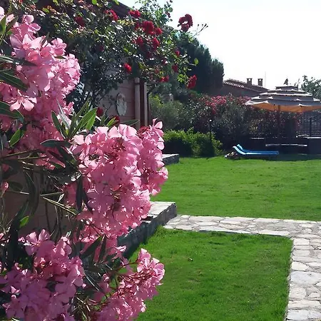 Assos Sardunya 3* Sazlı