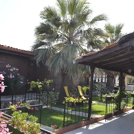 Assos Sardunya