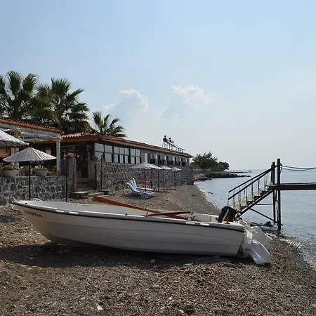 Assos Sardunya Szálloda Sazlı