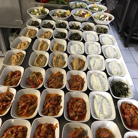 Hotel Assos Sardunya Sazli